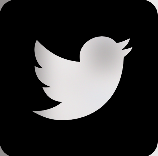 logo Twitter